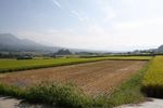 冬水田んぼ始め_01.jpg
