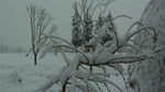 nсIH_W480xH270.jpg